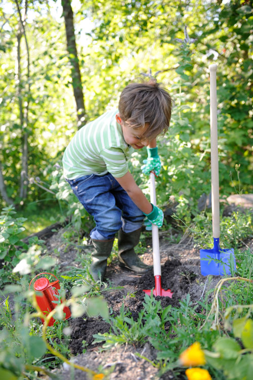 Spaten, rot Spaten, rot