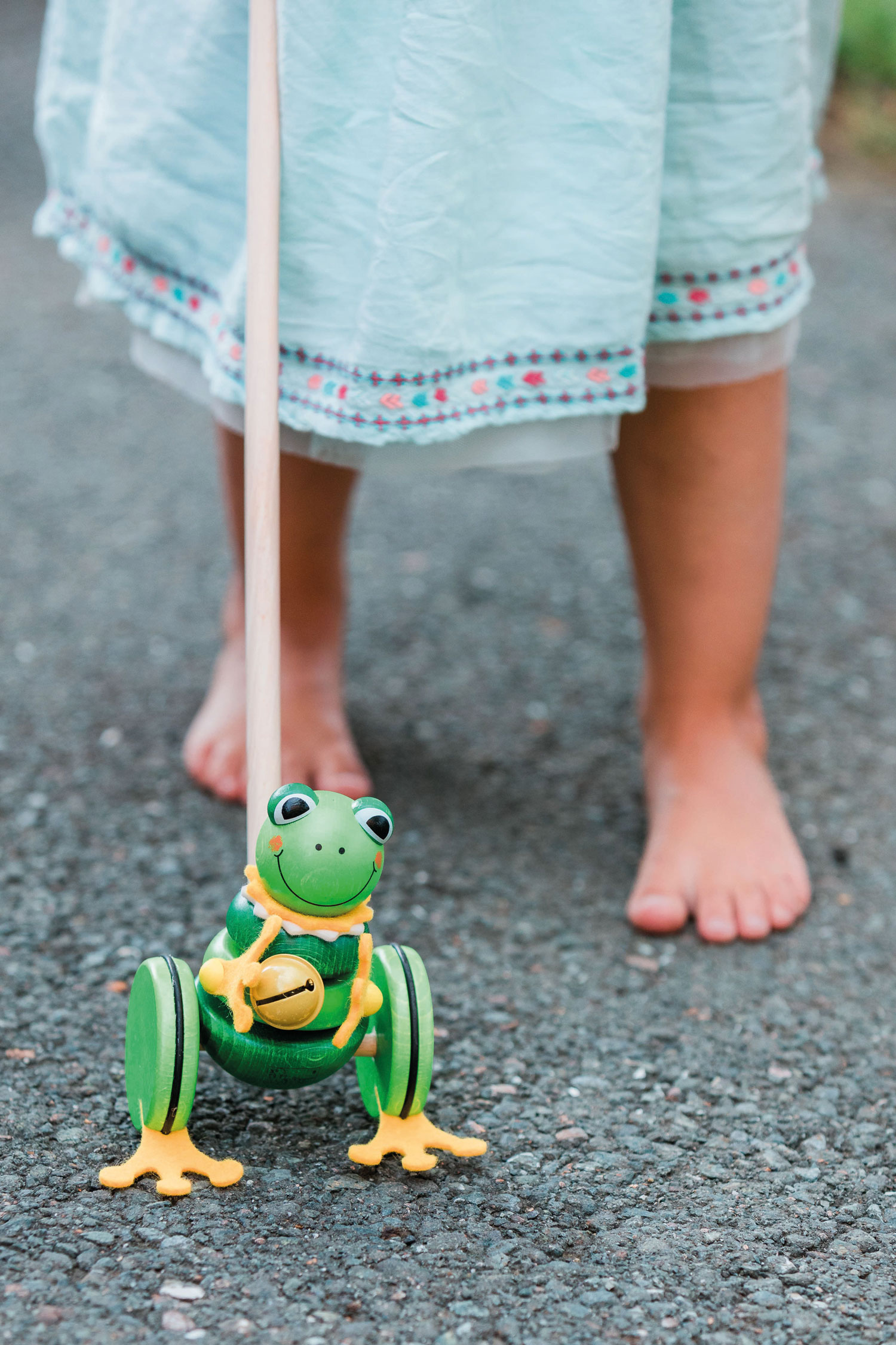 Schiebetier Froschkönig